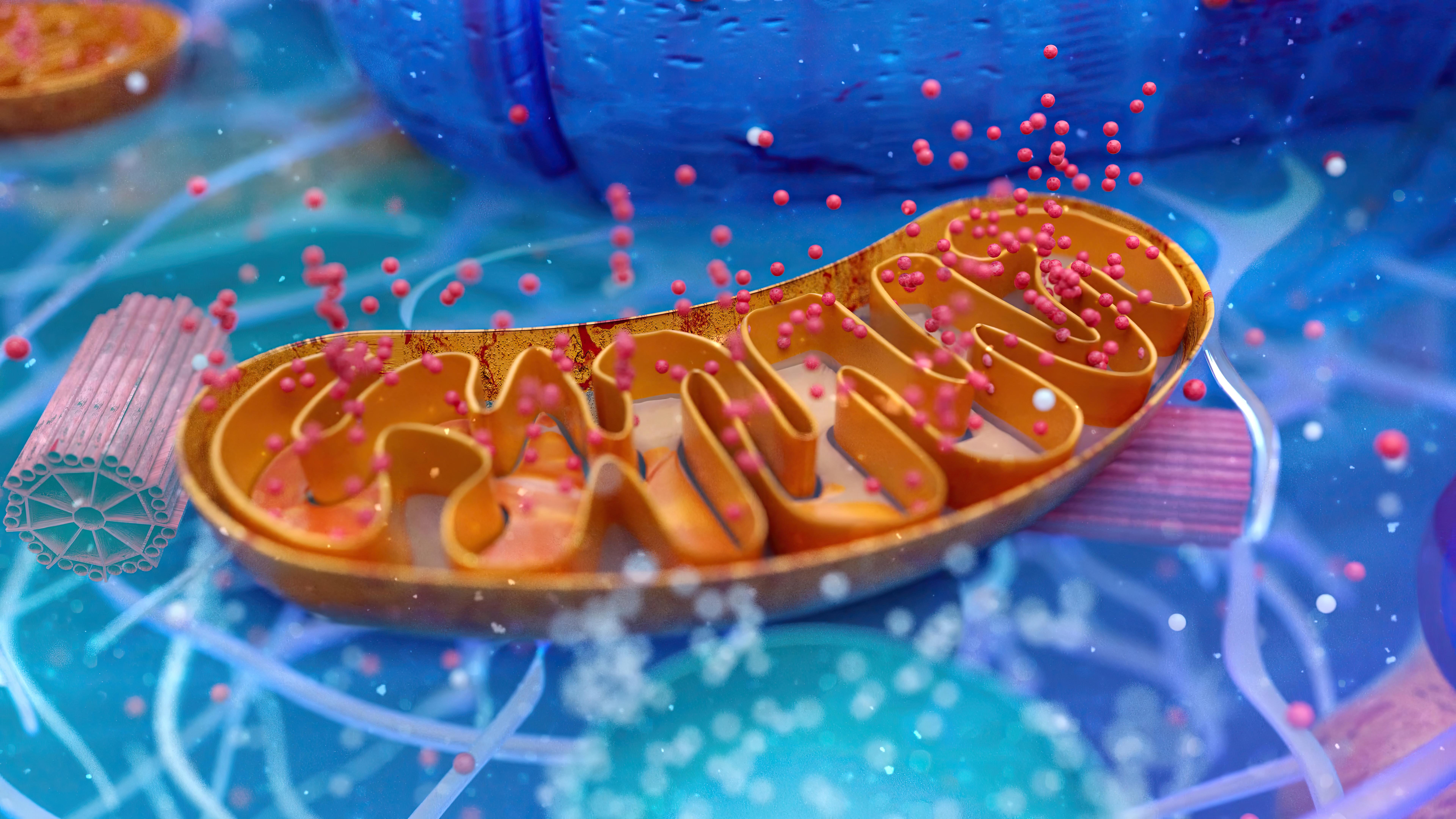 abstract-3d-illustration-biological-cell-mitochondria