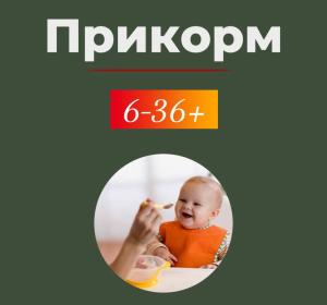 Курс «Прикорм 6-36+»